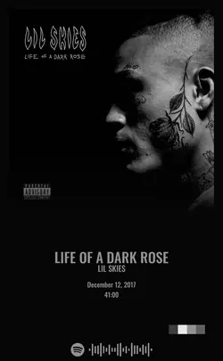 Lil Skies - Life of a Dark Rose.jpg
